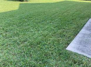 Bobbi S.'s Grass Cutting service result