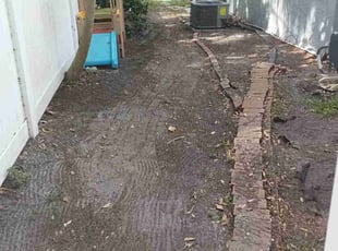 Leaf Removal by Brandon Mundy for Drew C. in Tampa, FL