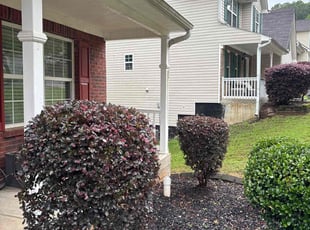Bush Trimming by Kanu Agabi for Yolanda W. in Snellville, GA