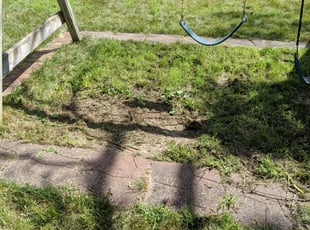 Cleanups by Tyler Salter for Lynsie R. in Grand Rapids, MI
