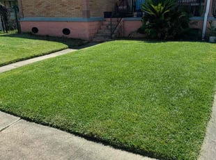 Romita A.'s Lawn Care service result