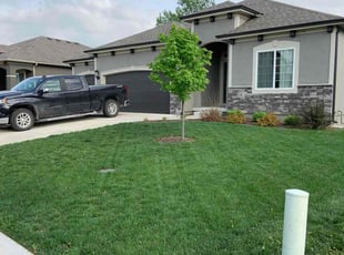 Syd H.'s Lawn Care service result