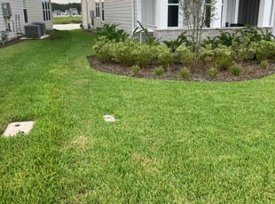Mai D.'s Lawn Maintenance service result