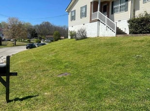 Miguel F.'s Lawn Service service result