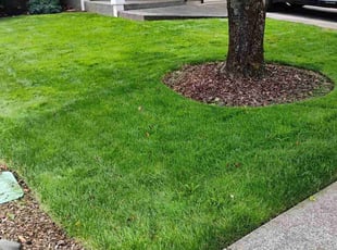Mary S.'s Lawn Care service result