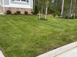 Yvonne N.'s Lawn Maintenance service result