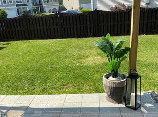 Wendy N.'s Lawn Service service result