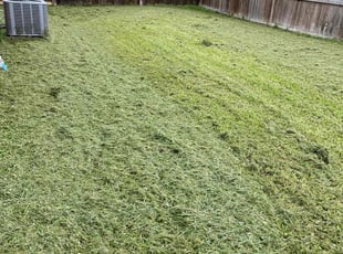 Rachel B.'s Lawn Maintenance service result