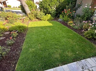 Surujwatie R.'s Lawn Mowing service result
