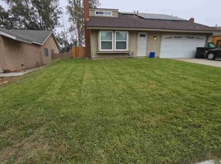 Barbara A.'s Lawn Service service result