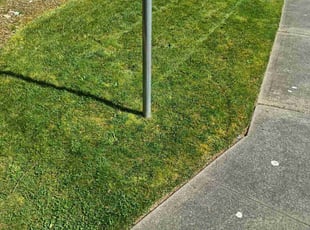 Dawne D.'s Lawn Care service result