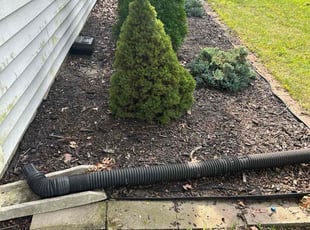 Weeding by Marcus Hessey for John T. in South Bend, IN