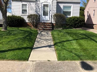 Carla F.'s Lawn Mowing service result