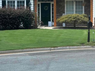 Courtney N.'s Grass Cutting service result