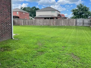 Pamela G.'s Yard Cutting service result