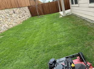 Alexander M.'s Lawn Service service result