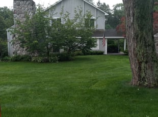 Bill H.'s Yard Cutting service result