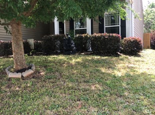 Bush Trimming by Todd Rogers for Renee, CANCELLED R. in Simpsonville, SC
