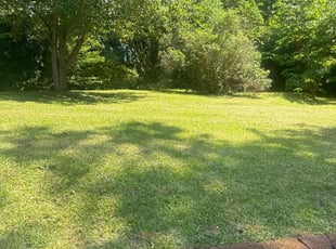John H.'s Lawn Mowing Service service result