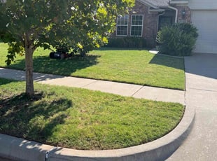 Dennis G.'s Lawn Care service result