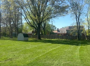 Richard B.'s Yard Cutting service result