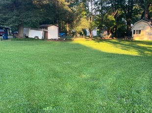 Staci A.'s Lawn Care service result