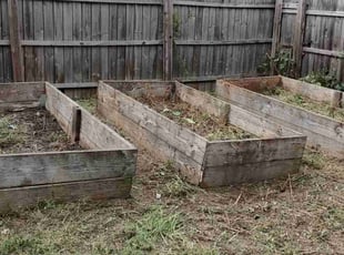 Caryn D.'s Cleanups service result