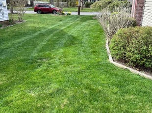 Justin H.'s Lawn Mowing Service service result