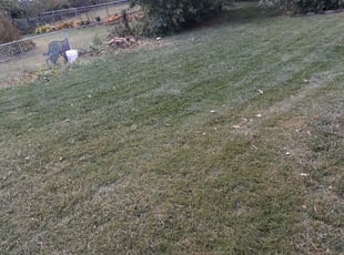 Cleanups by Affer Thomas for James D. in University City, MO