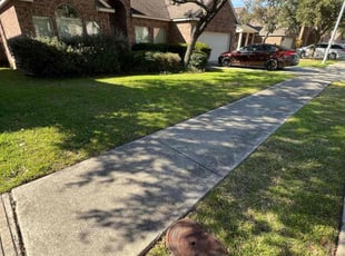 Victor M.'s Lawn Mowing service result