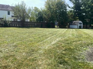 Michael P.'s Lawn Maintenance service result