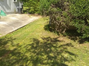Bush Trimming by Detrick Whitehead for Mireille M. in Stone Mountain, GA