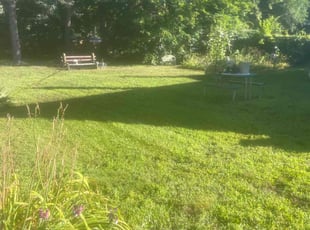 JIM P.'s Lawn Mowing service result