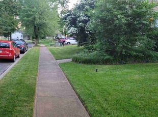 Vikki A.'s Grass Cutting service result