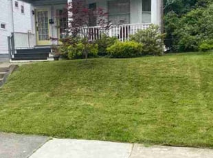 Jamie M.'s Lawn Service service result