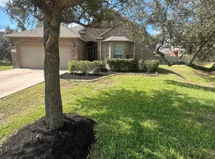 Dana D.'s Lawn Mowing service result