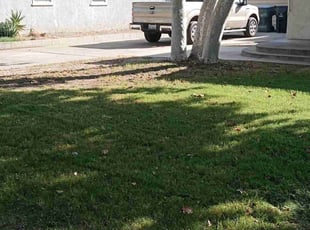 Cleanups by Brenden Henderson for Gary b. in San Bernardino, CA