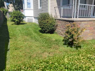 Cortez B.'s Lawn Service service result