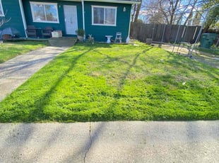Jenn G.'s Lawn Mowing service result