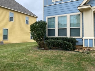 Bush Trimming by Quentin Morgan for John G. in Denton, TX