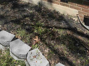 Bush Trimming by Terrence Hawkins for Myneesha R. in District Heights, MD