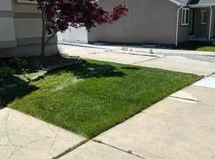 Tim A.'s Lawn Service service result