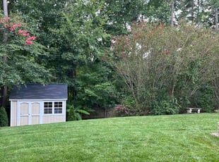 Rebecca M.'s Lawn Mowing Service service result