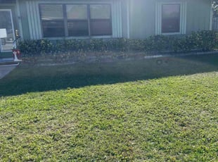 Bush Trimming by Victor Arroyo Cisneros for William L. in Port St. Lucie, FL