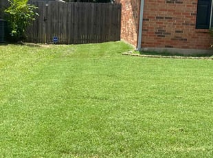 Dan M.'s Lawn Care service result