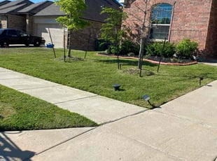 ShantΓ© M.'s Grass Cutting service result