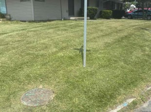 Darlene A.'s Lawn Mowing service result