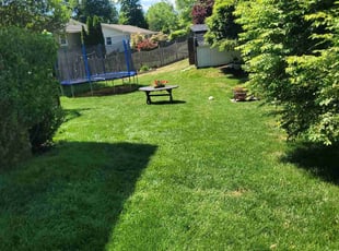 Greg G.'s Lawn Care service result