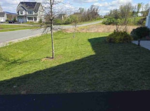 Joni F.'s Lawn Service service result