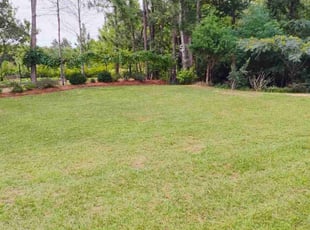 Carla S.'s Lawn Care service result